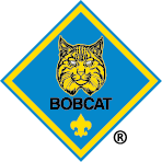 Bobcat