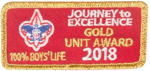 Journey to Excellence 2018 Gold 100% Boys' Life